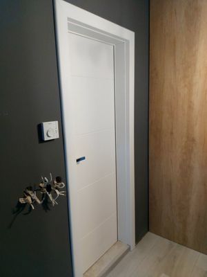 Алуминиева врата за баня 12